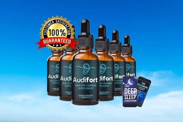 AudiFort